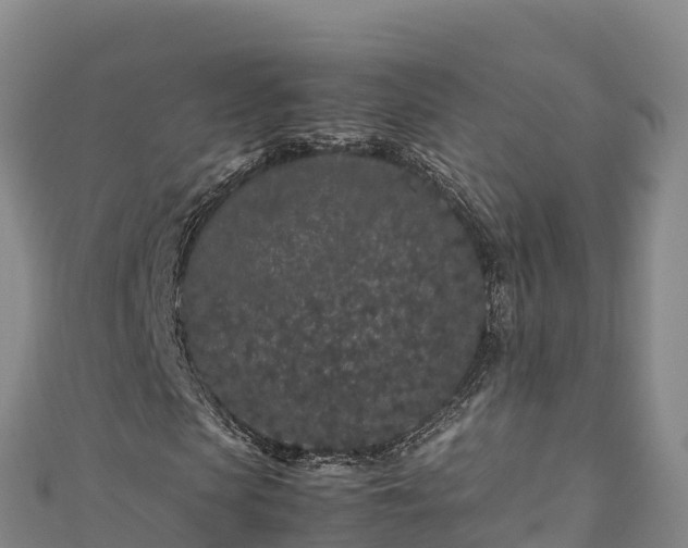 X0000111190913200907081253