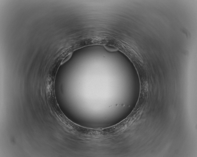 X0000111190914200907081253