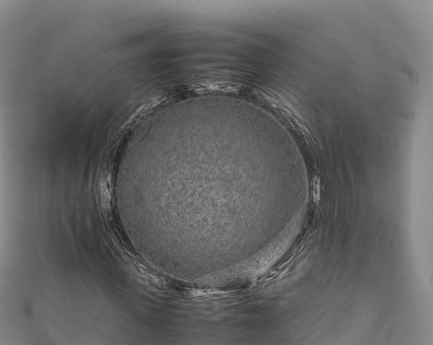 X0000111190915200907081253