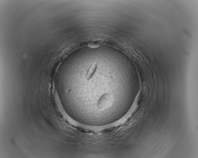 X0000111190916200907081253