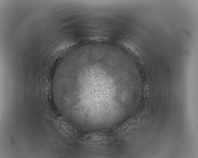 X0000111190917200907081253