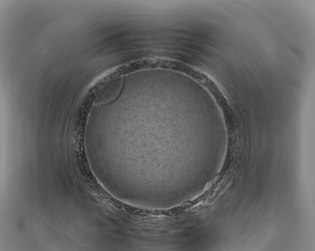 X0000111190919200907081253