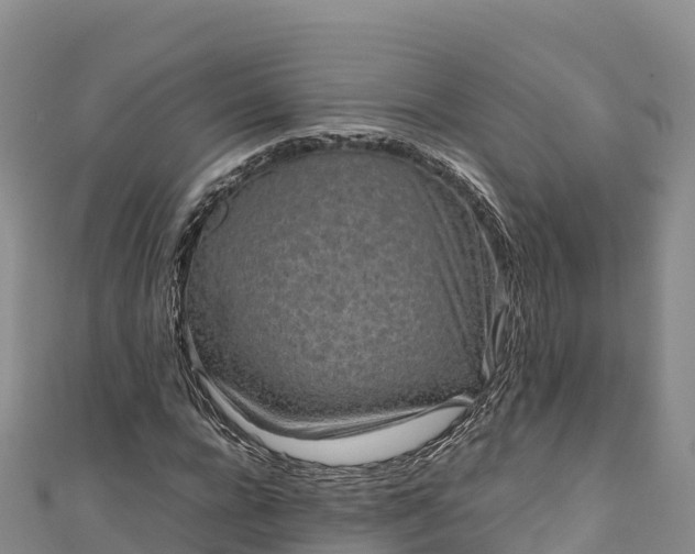 X0000111190920200907081253