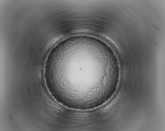 X0000111190921200907081253