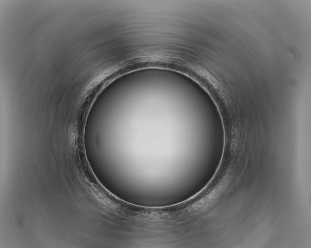 X0000111190922200907081253