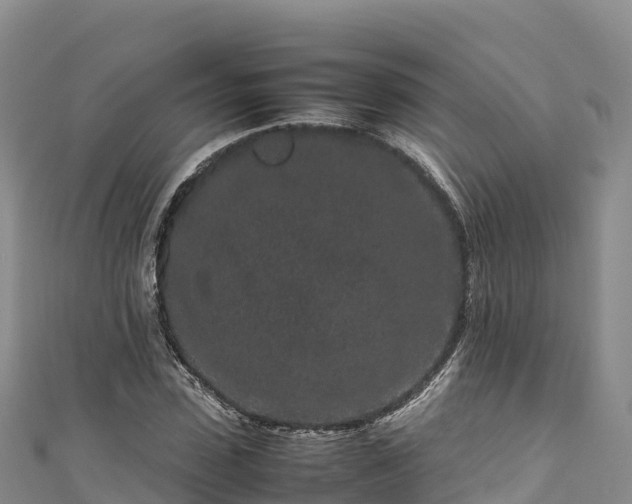 X0000111190923200907081253