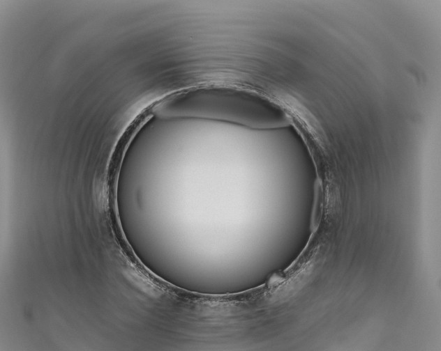 X0000111190924200907081253