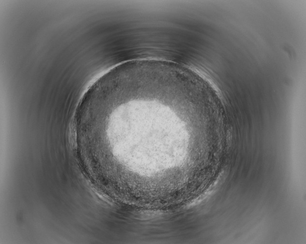 X0000111190925200907081253