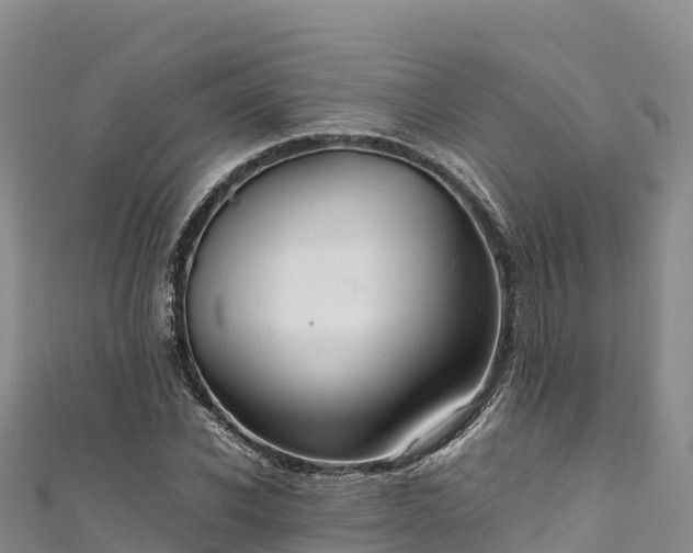 X0000111190926200907081253