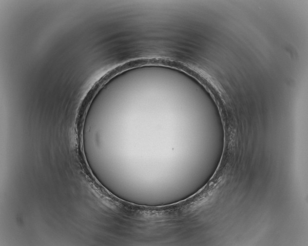 X0000111190927200907081253