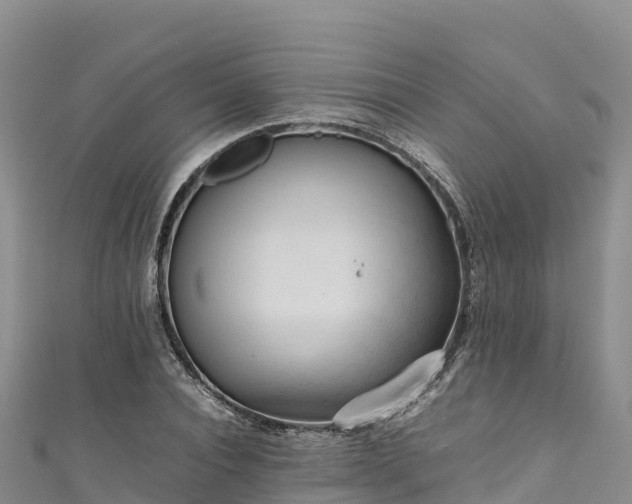 X0000111190928200907081253