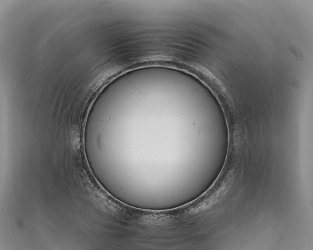 X0000111190929200907081253