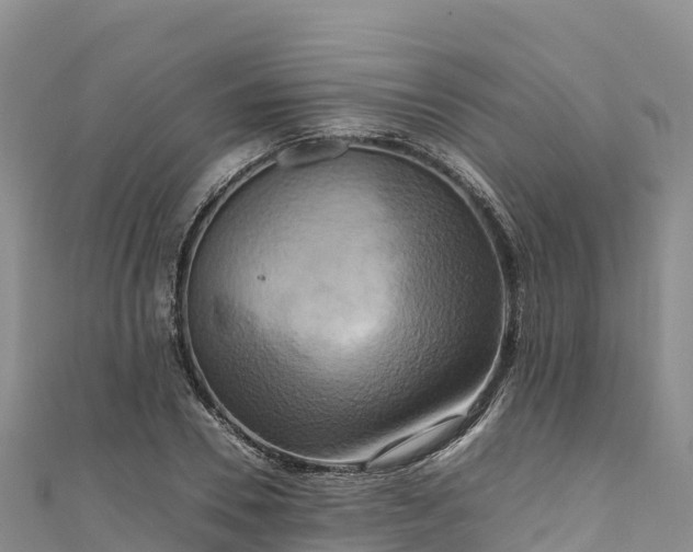 X0000111190930200907081253