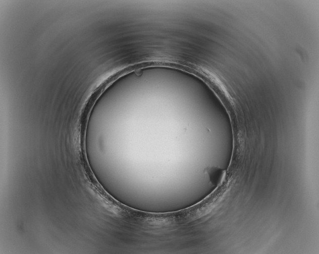 X0000111190931200907081253