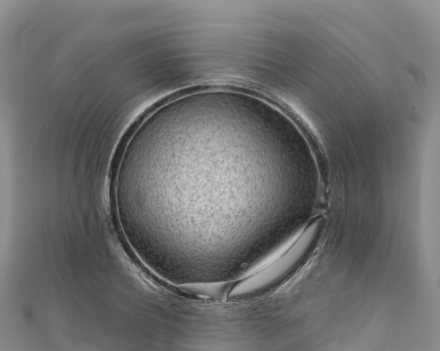 X0000111190932200907081253