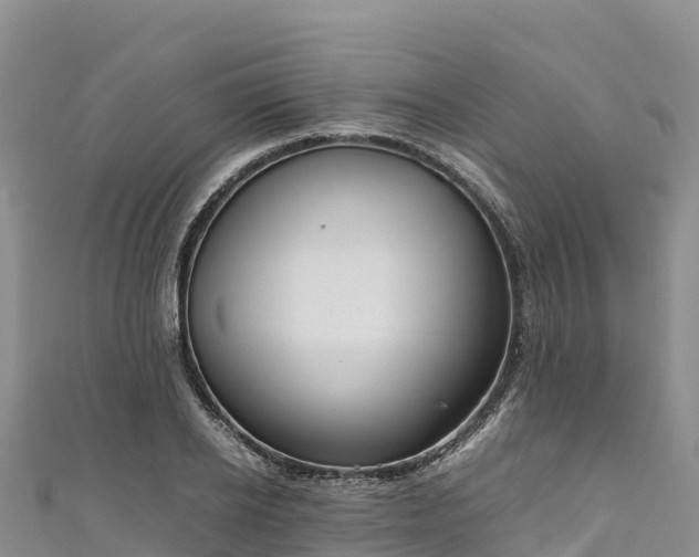 X0000111190934200907081253