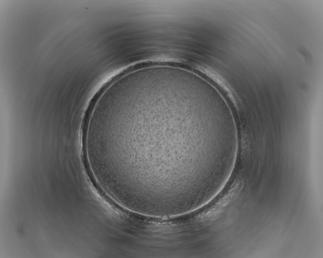 X0000111190935200907081253