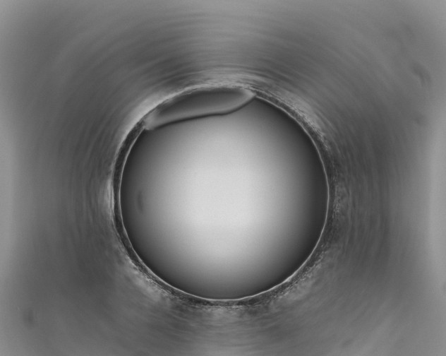 X0000111190936200907081253