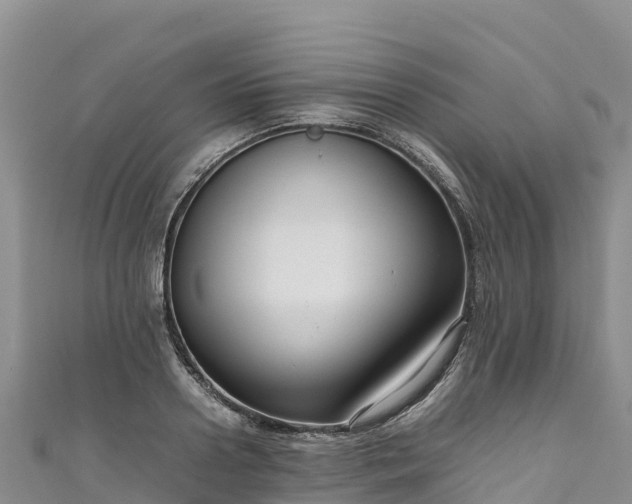 X0000111190938200907081253