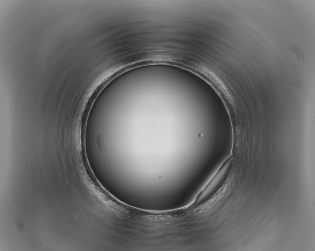 X0000111190939200907081253