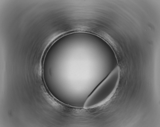 X0000111190940200907081253