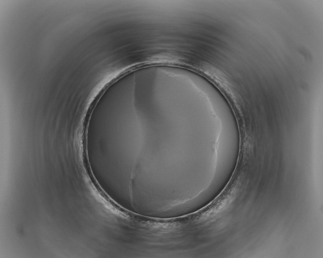 X0000111190941200907081253