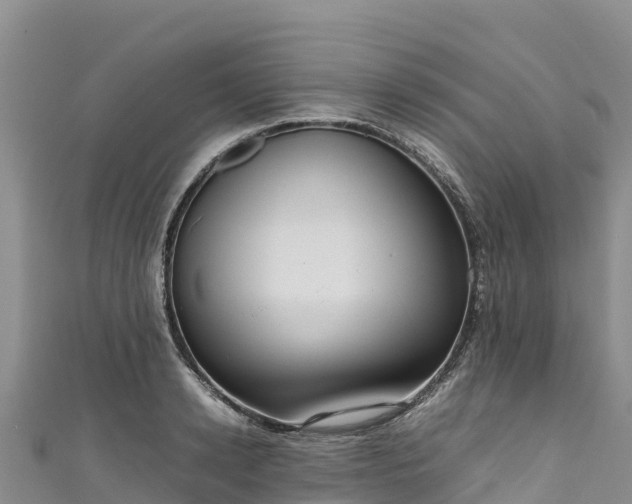 X0000111190942200907081253