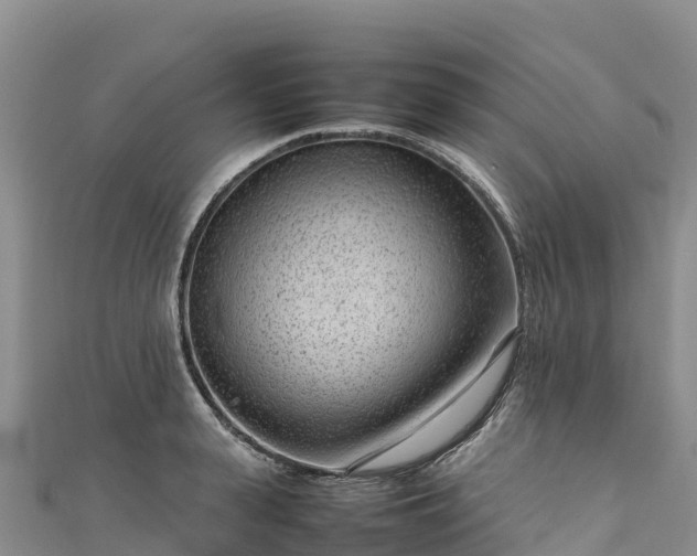 X0000111190943200907081253