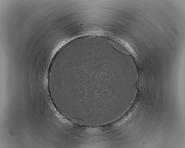 X0000111190944200907081253