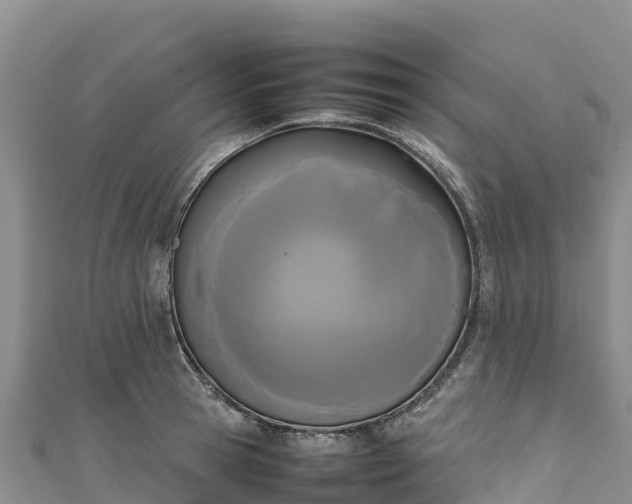 X0000111190945200907081253