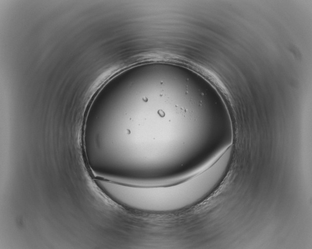 X0000111190946200907081253