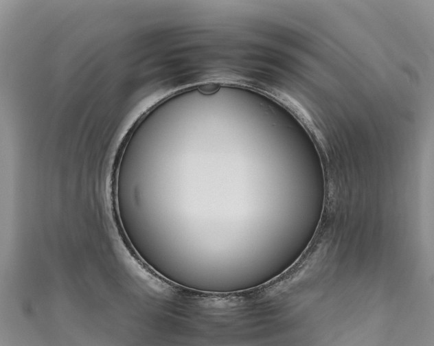 X0000111190947200907081253