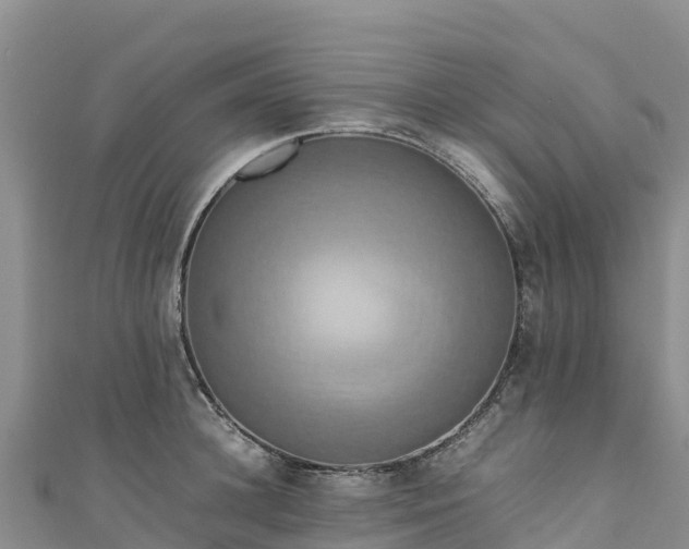 X0000111190948200907081253