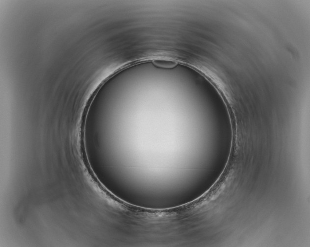 X0000111190949200907081253