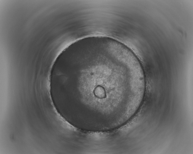 X0000111190950200907081253