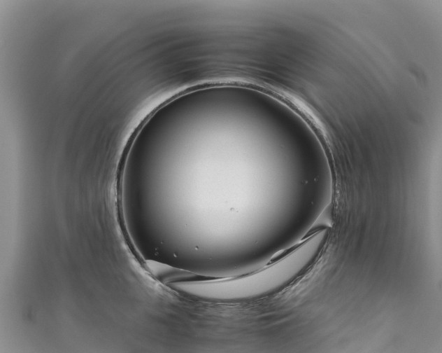 X0000111190951200907081253