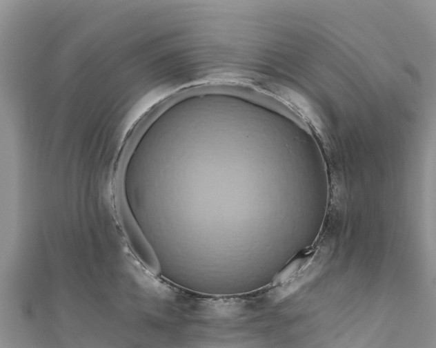 X0000111190952200907081253