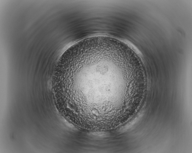 X0000111190953200907081253