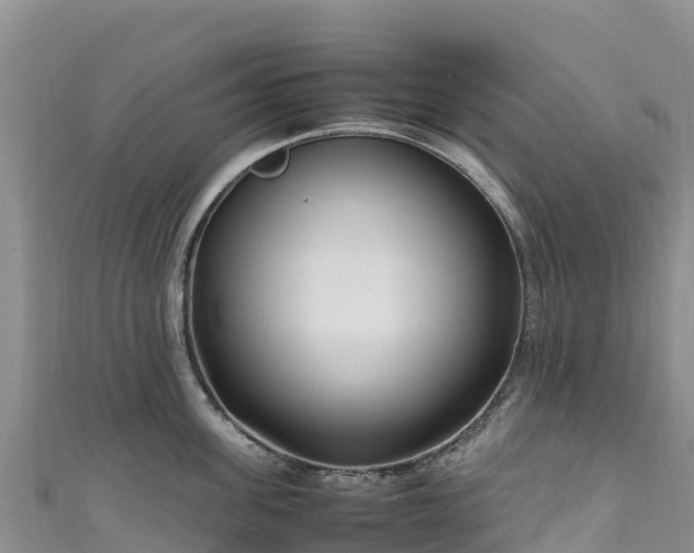 X0000111190955200907081253