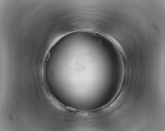 X0000111190956200907081253