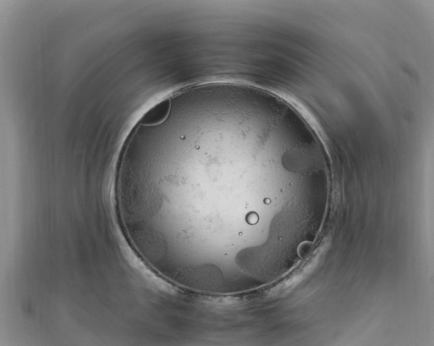 X0000111190957200907081253