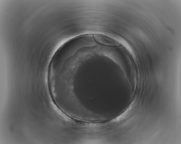 X0000111190958200907081253