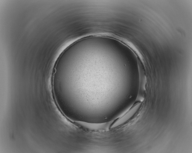 X0000111190959200907081253