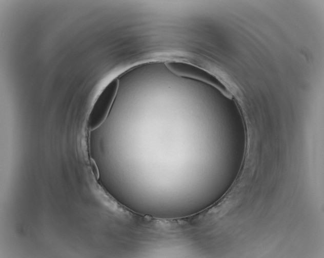 X0000111190960200907081253