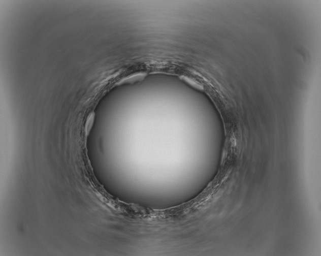 X0000111190961200907081253