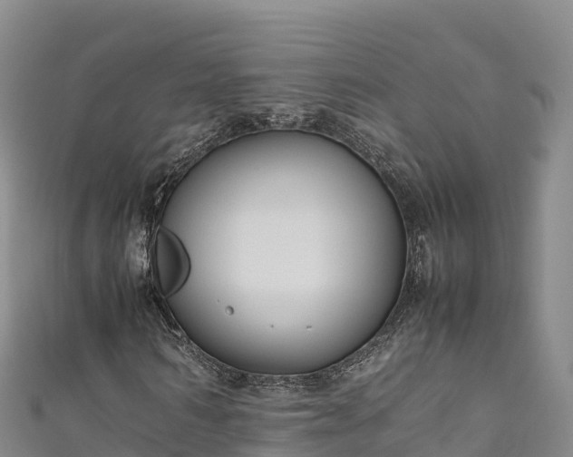 X0000111190962200907081253