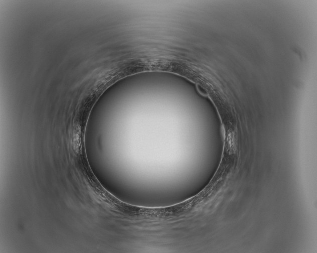 X0000111190963200907081253