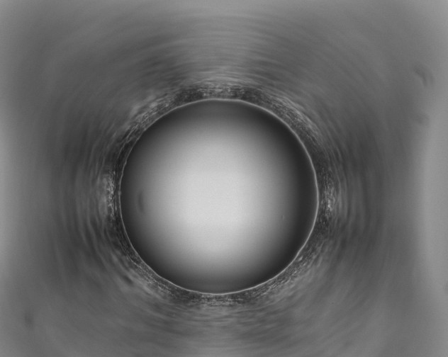 X0000111190964200907081253