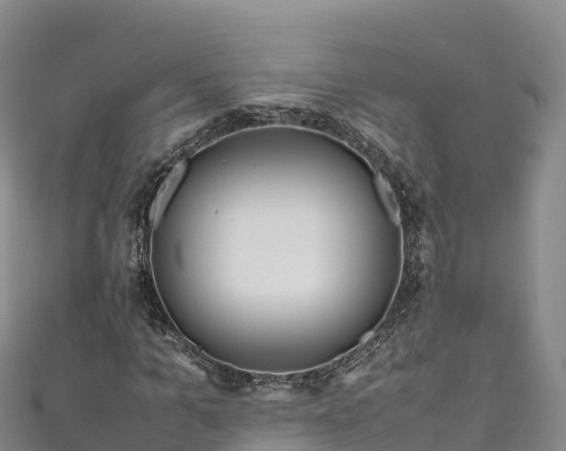 X0000111190965200907081253