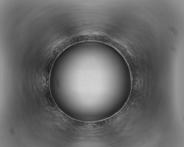 X0000111190966200907081253